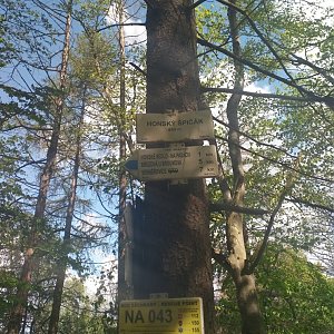 Broumovská vrchovina