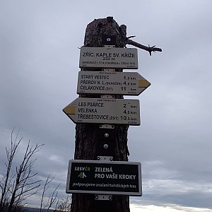 Středolabská tabule