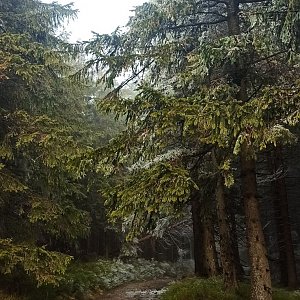 Moravskoslezské Beskydy