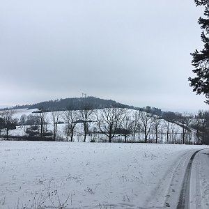 Lunch Walk