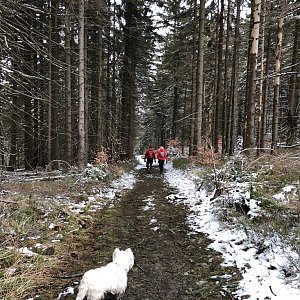 Moravskoslezské Beskydy