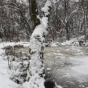 Benešovská pahorkatina