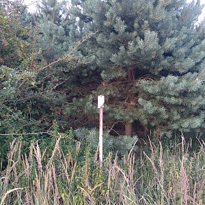 Jičínská pahorkatina