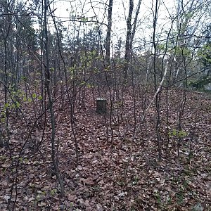 Jičínská pahorkatina