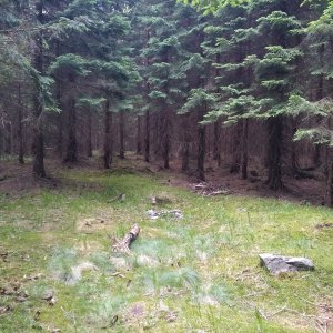 Králický Sněžník