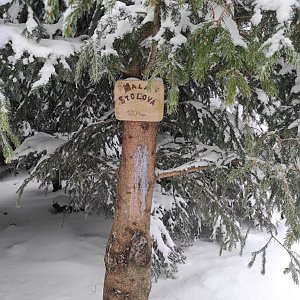 Moravskoslezské Beskydy