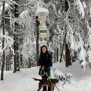 Moravskoslezské Beskydy