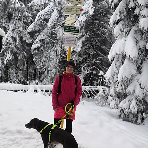 Moravskoslezské Beskydy