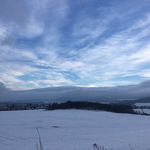 Afternoon Walk