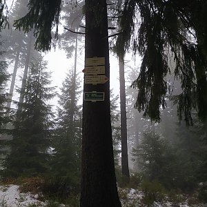 Moravskoslezské Beskydy