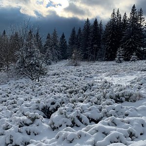 Moravskoslezské Beskydy