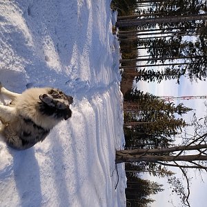 Moravskoslezské Beskydy