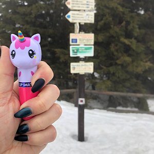 Morning Hike