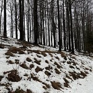 Moravskoslezské Beskydy
