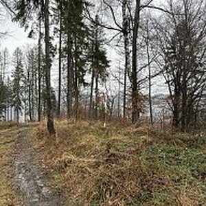 Moravskoslezské Beskydy