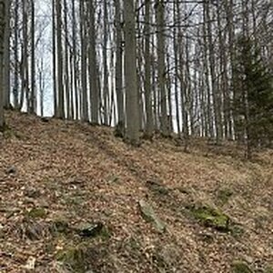 Moravskoslezské Beskydy