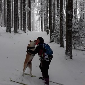 Šumava