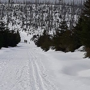 Šumava