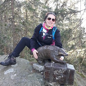 Šumava