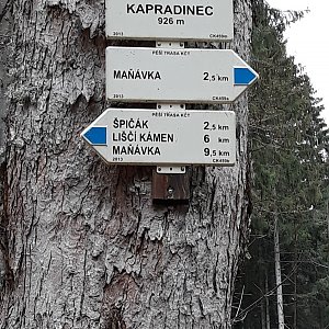 Šumava