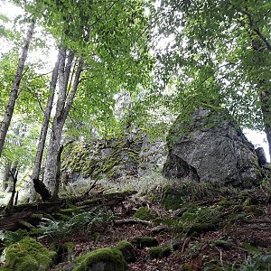 Šumava