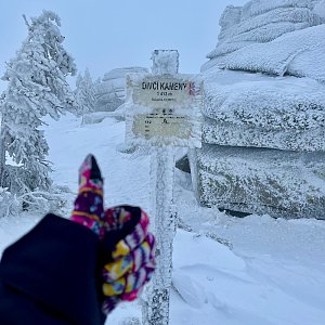 Krkonoše