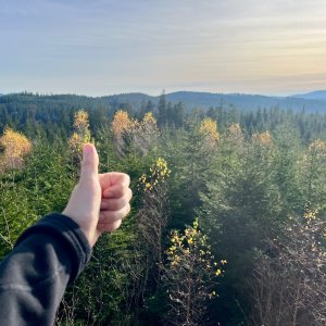 Šumava