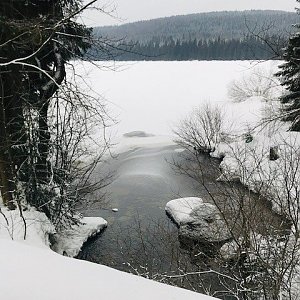Běžky Souš- Knajpa- Smědava - Souš