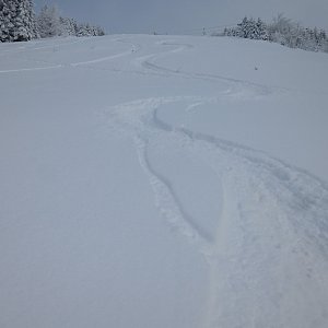 Plešivec - Jelení - Skalka - Plešivec SFB