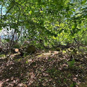 Vlašimská pahorkatina