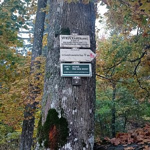 Šumava