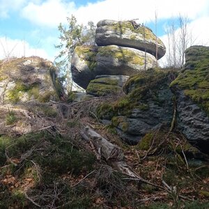 Novohradské hory