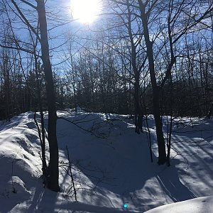 Afternoon Walk