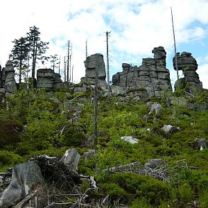 Šumava