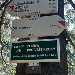 Rychlebské hory