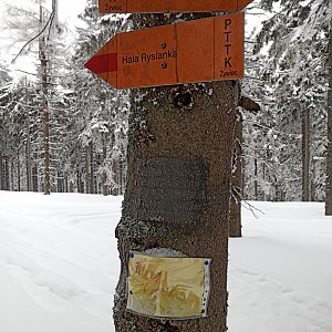 Oravské Beskydy