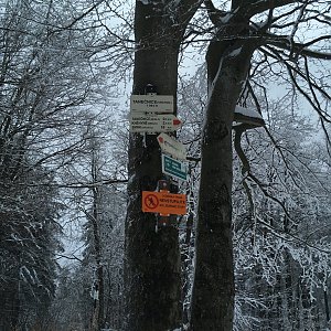 Moravskoslezské Beskydy