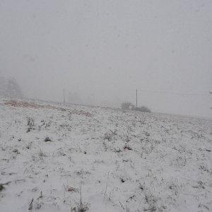 Podtatranská kotlina