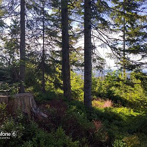 Turzovská vrchovina