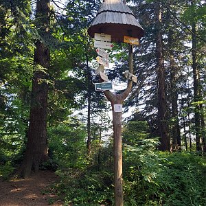 Hostýnsko-vsetínská hornatina