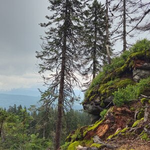 Šumava