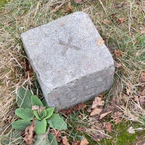Krušné hory