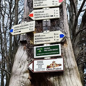 Moravskoslezské Beskydy