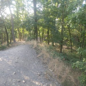 Hřebeny