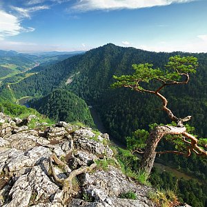 Dunajec a Sokolica
