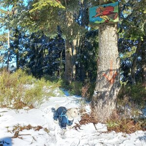 Moravskoslezské Beskydy