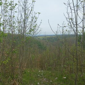 Drahanská vrchovina