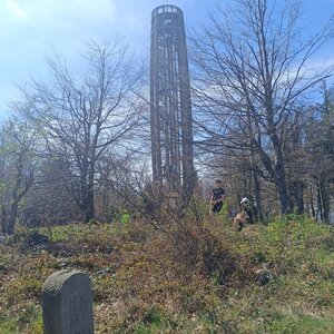 Hostýnsko-vsetínská hornatina