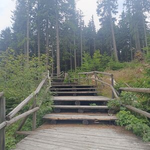 Šumava