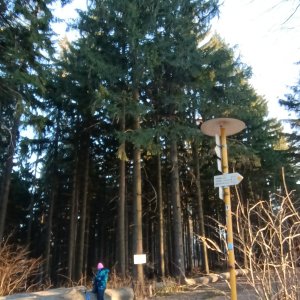 Bílé Karpaty